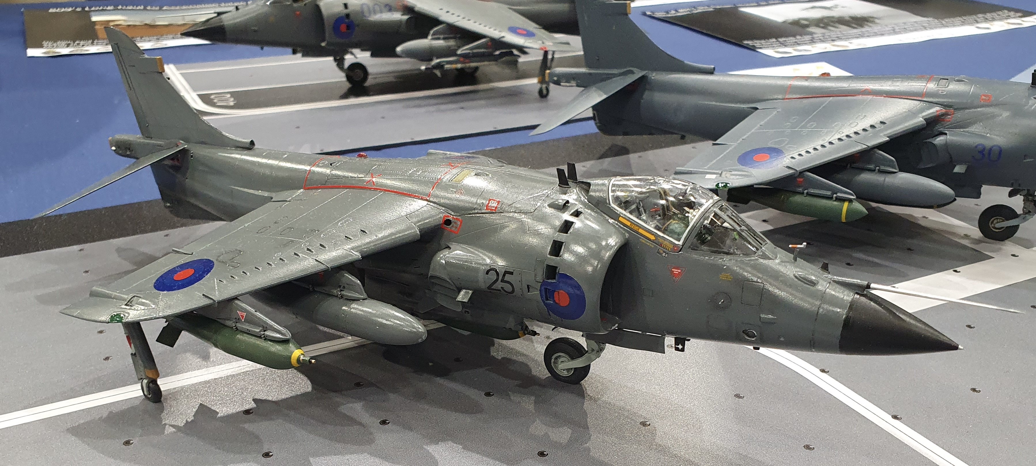 Harrier Special Interest Group display for Model World LIVE 2024.