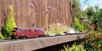 Completed garden railway construction at end of garden resting against fence and surrounded by plants