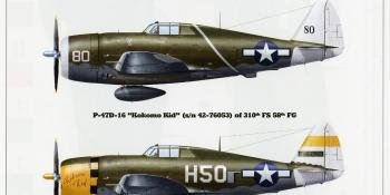 SNAKES AND JUGS: KAGERO’S NEW P-39 AND P-47 DECALS
