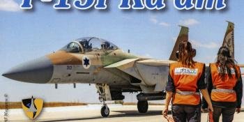 ISRAELI F-15I SCHEMES FROM ISRADECAL